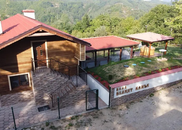 белият камък - וילה *