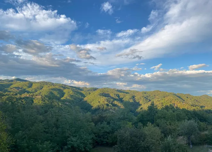 белият камък - فيلة